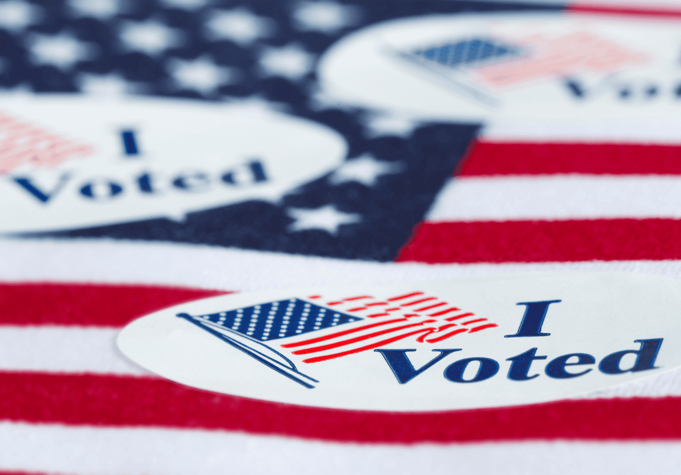 I voted UMLC Website