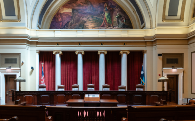 Minnesota Supreme Court Filings Press for Election Authority and Government Transparency